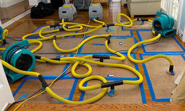 Professional Water Damage Restoration technician working in Larsen, WI