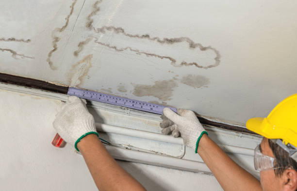 Affordable Water Damage Repair solutions in Larsen, WI